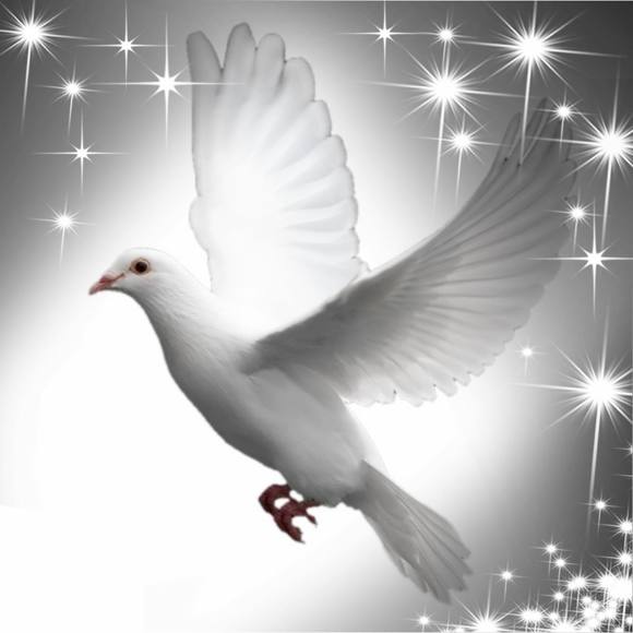 Meet your Posher, Cyndy - Picture 1 of 1